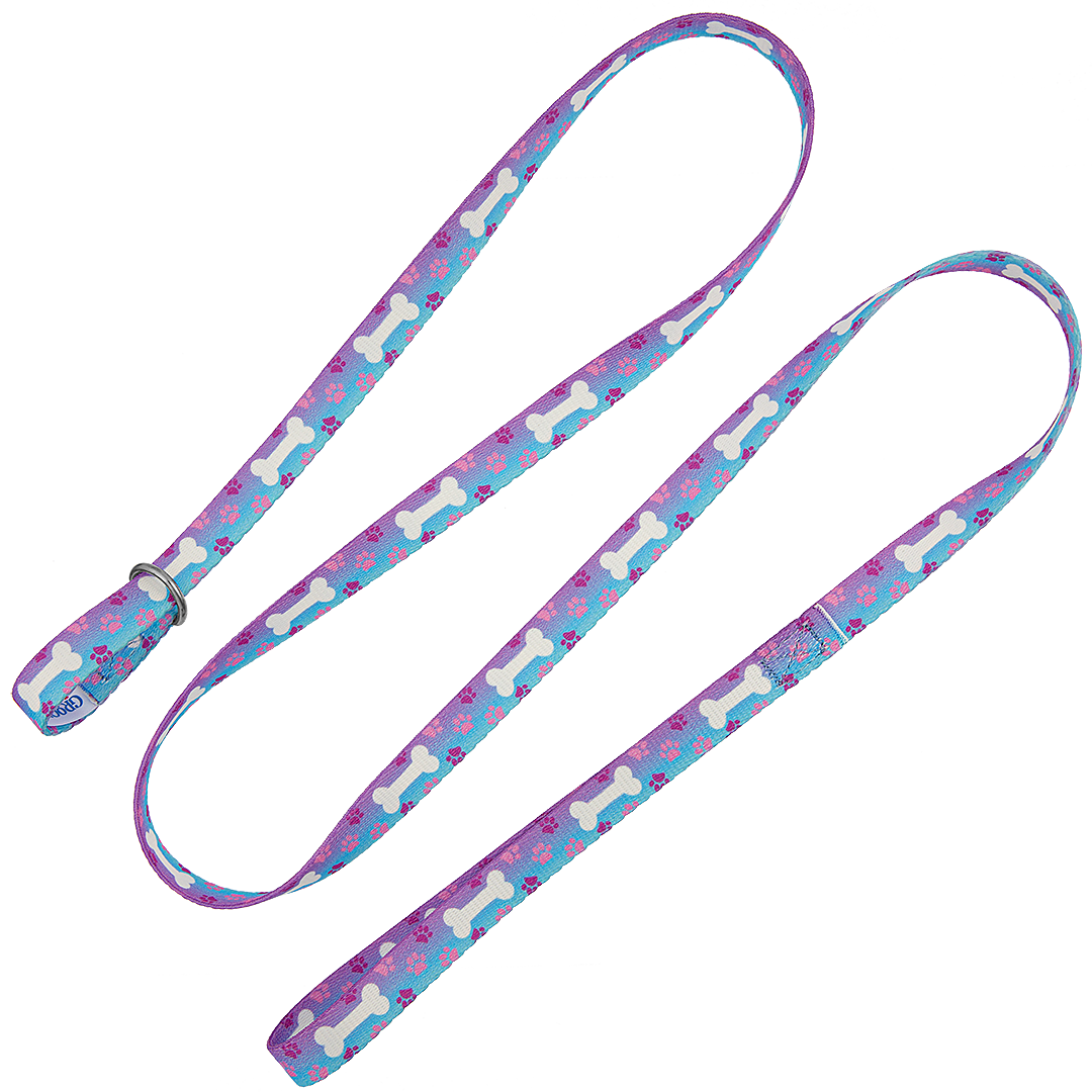 5-Slip-Lead-Leash-Pink-and-Blue-Bones