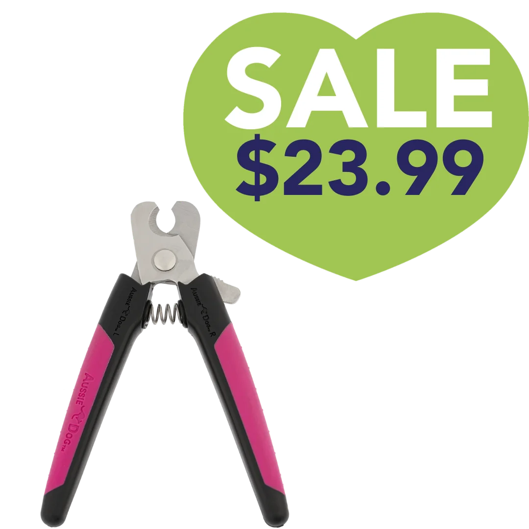 AD_NAIL-BFUCHSIA-LG