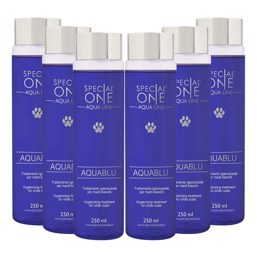 Special-One-Aquablu-box-of-6-250ml