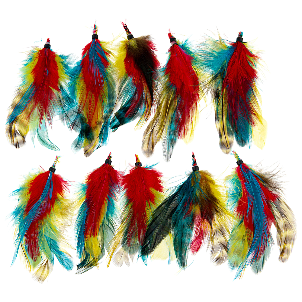 a-creative-collection-feather-extension-teal-mccaw-pack-of-10-for-dog