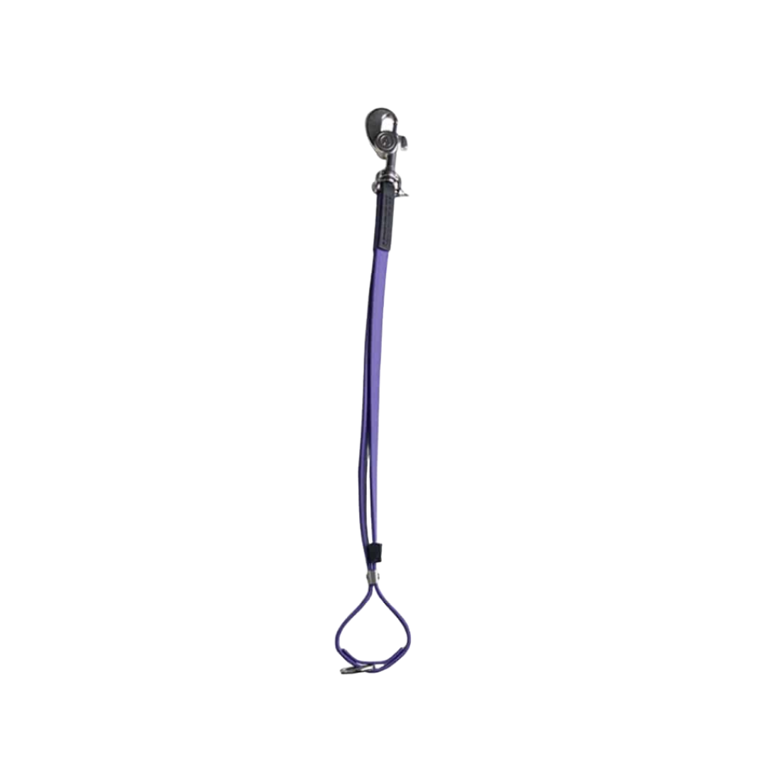alpha-grooming-axl-loop-for-groomers-violet