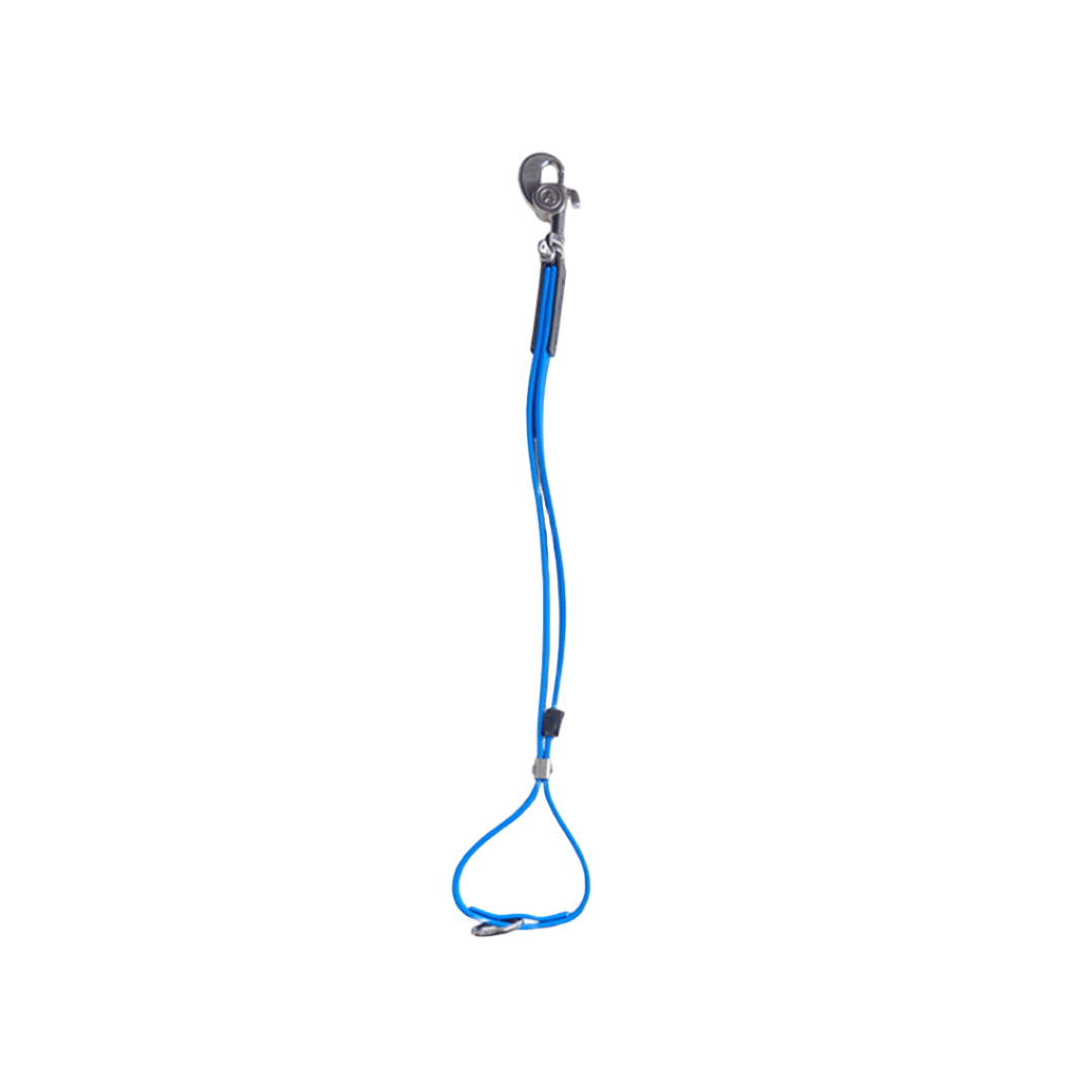 alpha-grooming-axl-loop-for-grooming-blue