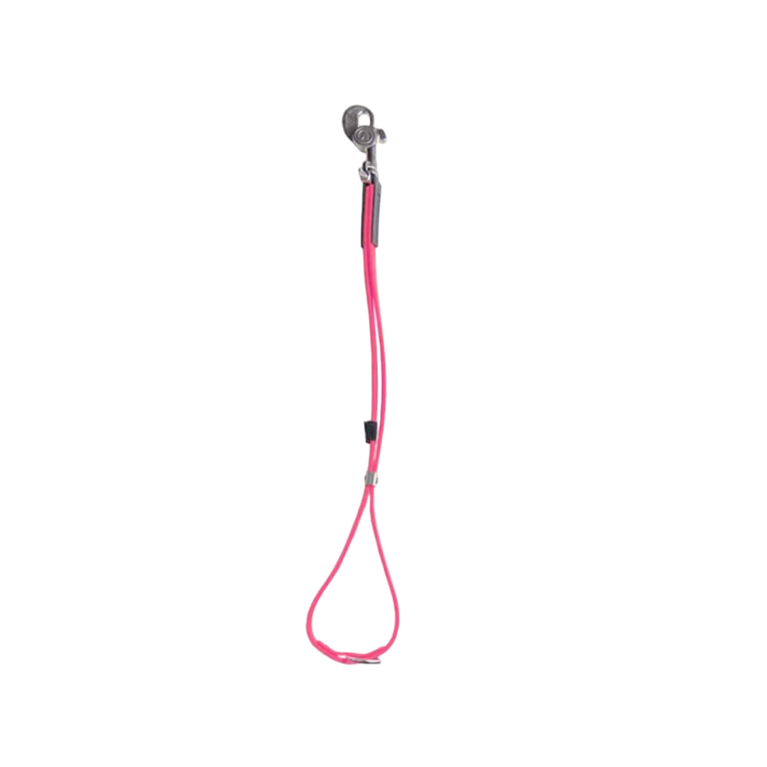 alpha-grooming-axl-loop-pink-for-groomers