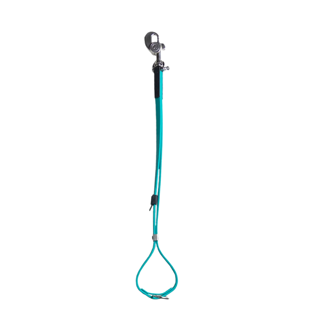alpha-grooming-in-teal-axl-loop