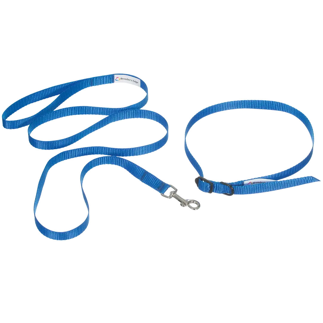 be-take-me-home-colar-leash-set-3_1