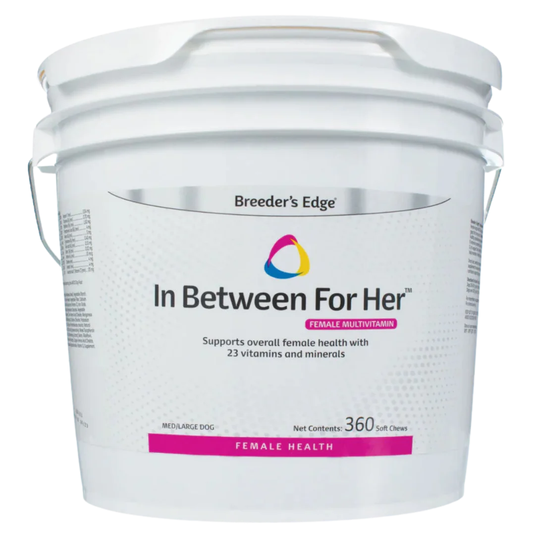 breeders-edge-in-between-for-her-360ct-medium-large-dog