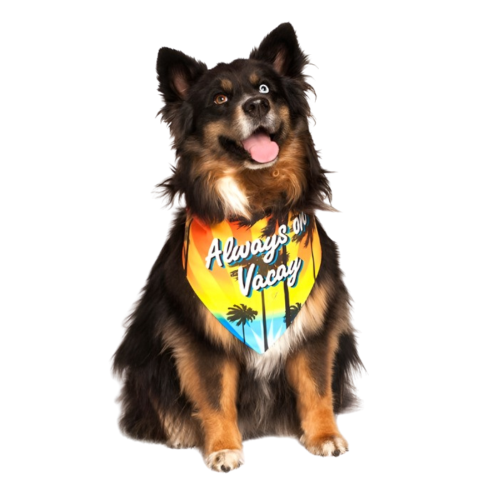 dog-fashion-living-always-on-vacay-dog-bandana_a4bd9122-f65a-4d13-9235-474830a86e5f