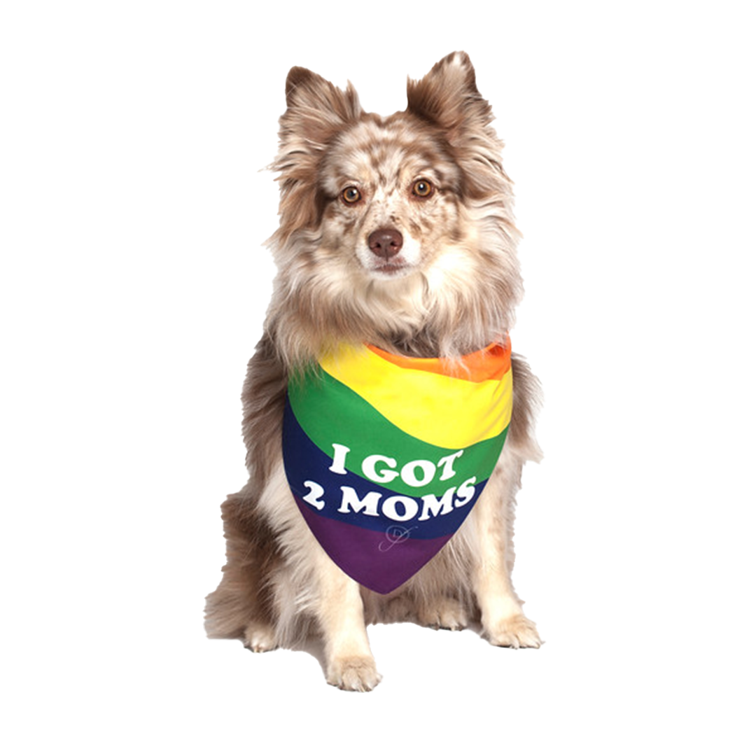 dog-fashion-living-i-got-2-moms-gay-parade-bandana-for-dogs