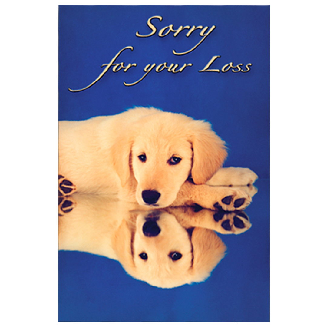 dog-fashion-living-sorry-for-your-loss-golden-design-grievance-card