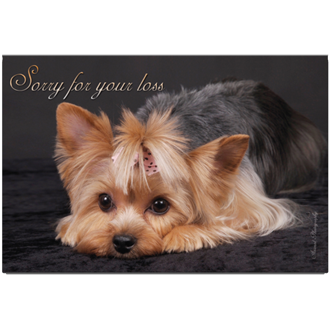 dog-fashion-living-sorry-for-your-loss-yorkie-design-grievance-card