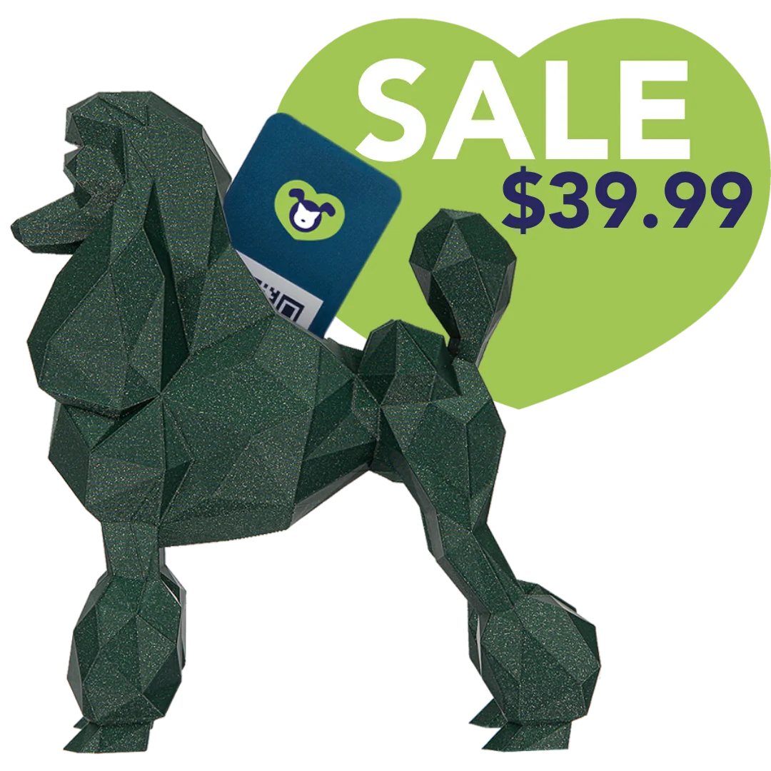 kumpe3d-poodle-business-card-holder-silk-blue-green_4bdc8807-3afe-4cfc-b5e9-52e2cb0e5654