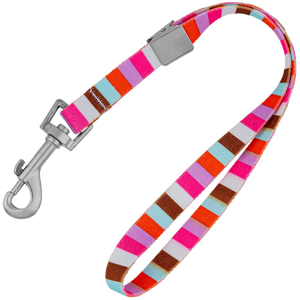 loop-dawgy-dawg-15-multi-stripe-grooming-loop