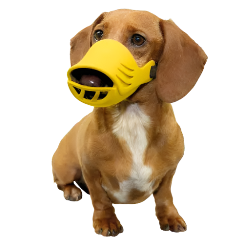 products-artero-silicone-dog-muzzle-grooming-large